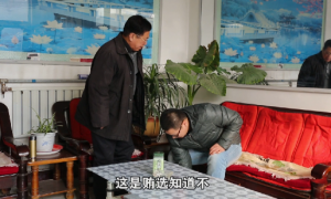 县政府官网发文称竞选村支书要有背景