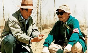双胞胎半个世纪在荒山种满8万棵树