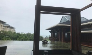 台风过境 文昌鸡告急