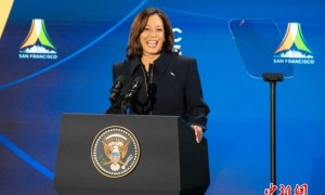 哈里斯正式获得民主党总统候选人提名