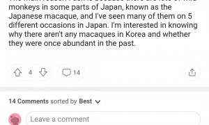 外国网友开始打听一只中国猴子