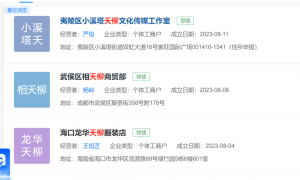多家新成立的公司用涂山璟命名