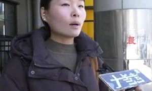 女子免费领养猫咪陷入“猫贷”纠纷