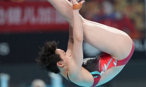 女子双人3米板中国无悬念夺金