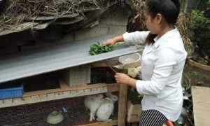 妻子生病男子不放心 带其一起卖瓜