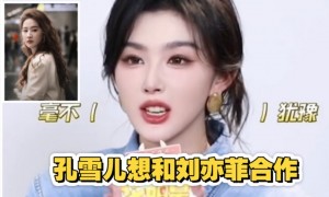 孔雪儿想和偶像刘亦菲合作