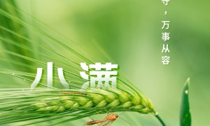 小满胜万全什么意思