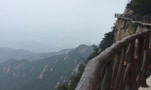 山东临沂多人遭弓箭射中