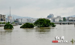 平江暴雨为何洪水排不出去