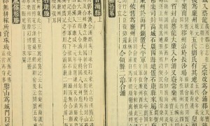 广西一地封山搜捕致5死命案嫌犯