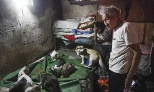 成都九旬老人遭儿女遗弃？假的