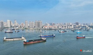 摩羯致海口文昌经济损失600亿元