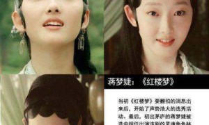 新版林黛玉选角争议