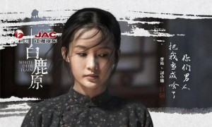 杨幂挑战农村妇女角色遭吐槽