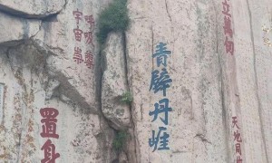 泰山陪爬火了 包登顶一单能挣100元