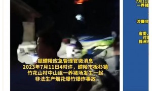 湖南一养猪场爆炸致7死 10人获刑