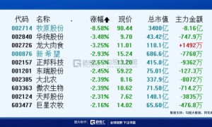 猪价上升周期来了吗？专家发声