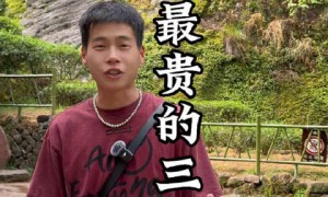 网红厦门小程三年申报收入仅数万