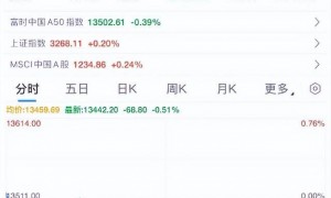 美国股市巨震