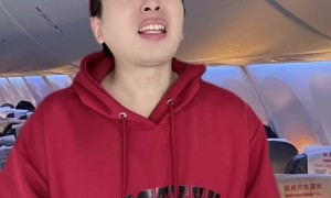 老鼠在飞机上乱窜长安航空回应