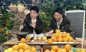 董宇辉2小时卖300万斤脐橙