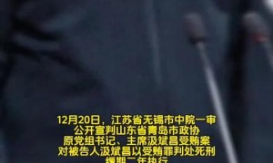 董明珠嘴里没有失败