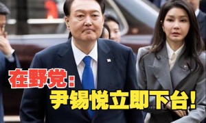 韩国最大在野党以内乱罪告发尹锡悦