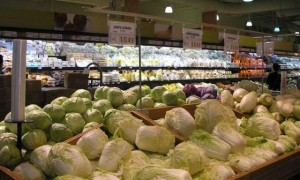 韩国紧急进口中国产大白菜