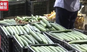 高温多雨成蔬菜涨价推手
