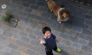 12岁男孩负气出走还不忘带上小狗