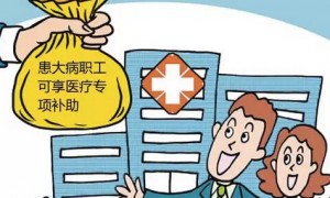 3家保险公司骗取中央补贴