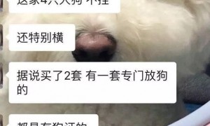 9岁男孩疑被男子放狗扑咬警方回应