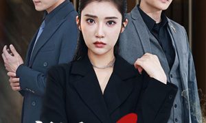 《离婚后全城大佬追求我》短剧全集在线介绍缩略图