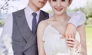 张杰谢娜回应婚变传闻缩略图