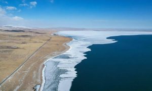 青海湖开湖：湖冰消融超500平方公里缩略图