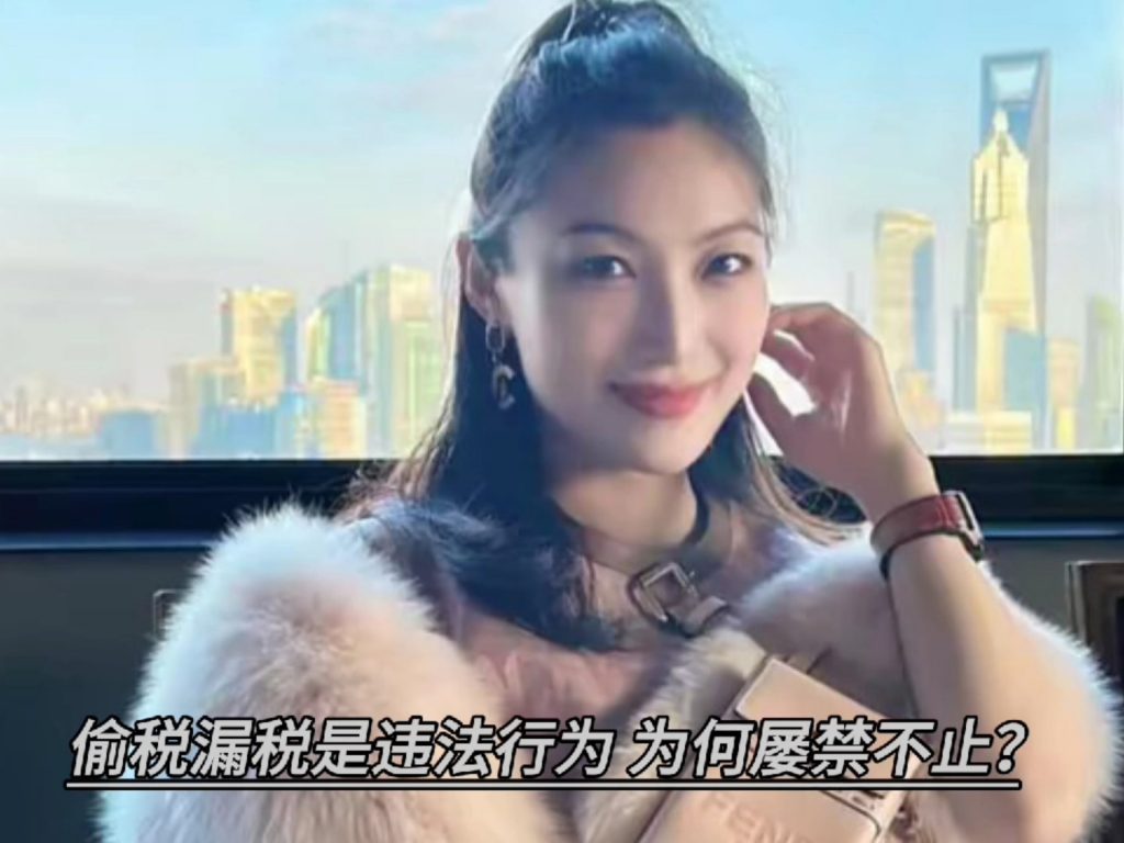 知名女主播偷税被罚758万插图