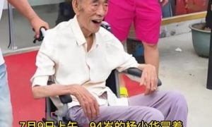 儿媳回应杨少华去世争议缩略图