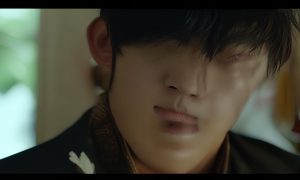 《离婚后，我继承人的身份藏不住》主演舒瀚＆洪瑾瑜短剧免费在线观看全集简介缩略图