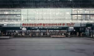 《耳膜穿孔后，我让恶人伏法》主演郑初晨短剧免费在线观看全集简介缩略图