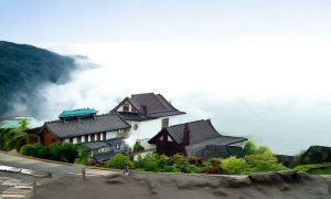 《落入你的红尘万丈》主演程澄＆徐思祁短剧免费在线观看全集简介缩略图