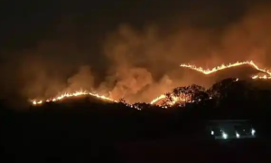 香港山火持续燃烧数小时 深圳可见缩略图