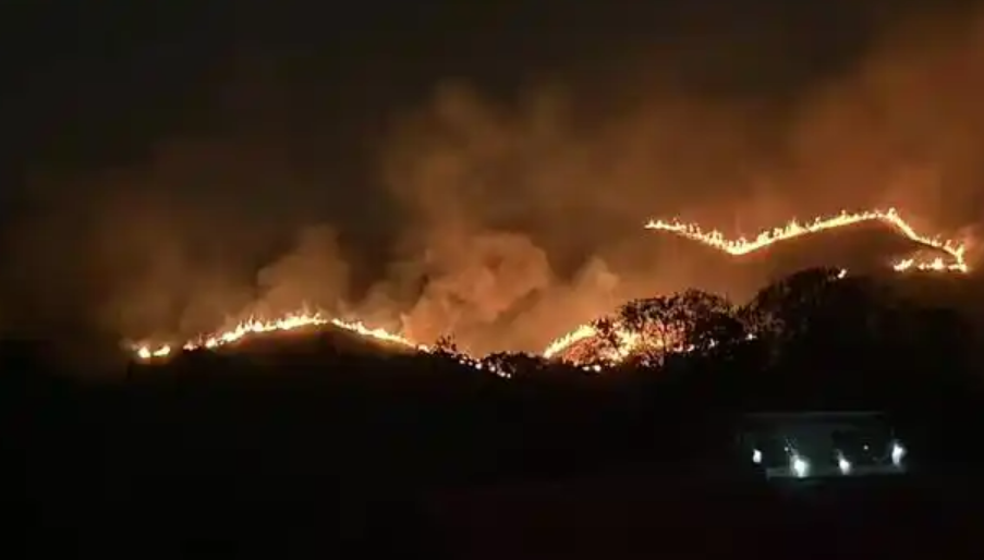香港山火持续燃烧数小时 深圳可见插图 香港山火持续燃烧数小时 深圳可见插图