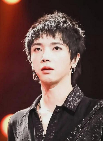 华晨宇演唱会为何获批又叫停插图