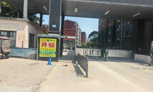 长垣本地短视频平台运营选哪家口碑好缩略图