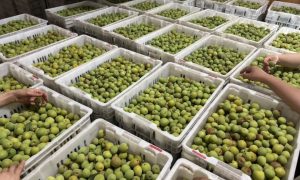 四川野餐常用酒实用参考缩略图