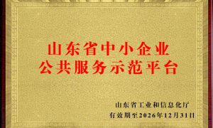 山东云智造科技集团 服务能力介绍缩略图
