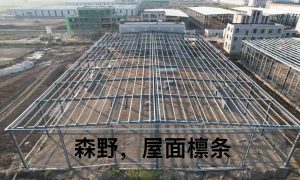 燕峰建设旗下风度别墅轰趴会馆介绍缩略图
