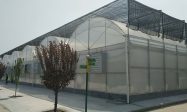 湖南智能薄膜温室源头厂家应用案例与经验分享缩略图