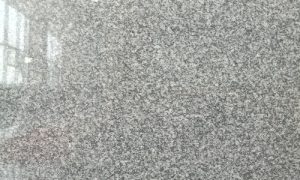 山西芝麻黑靠谱供应商经验分享缩略图
