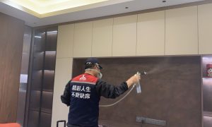 2025深圳二手房除甲醛靠谱公司参考缩略图